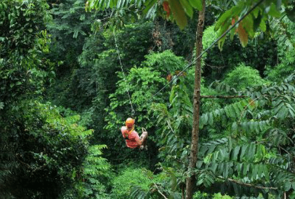 אומגות בצ׳אנג מאי גלישה