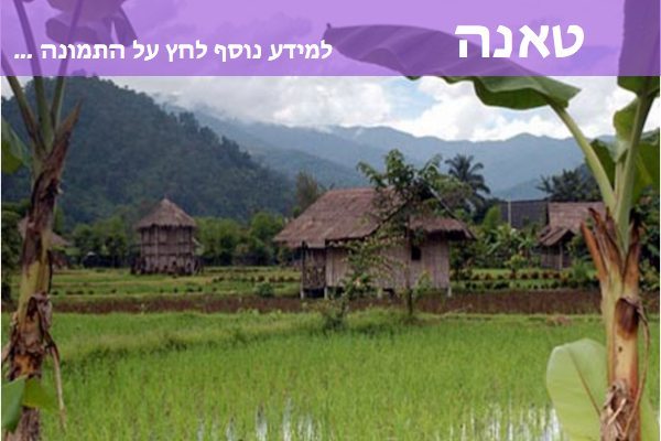 טיול ג׳יפים טאנה