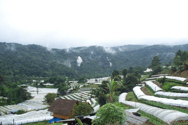 טיול ג’יפים כוכב הצפון השטח