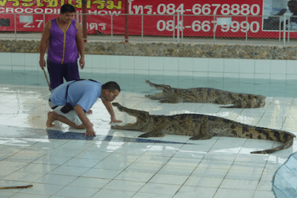 טיול ג’יפים – אום טונג תנינים