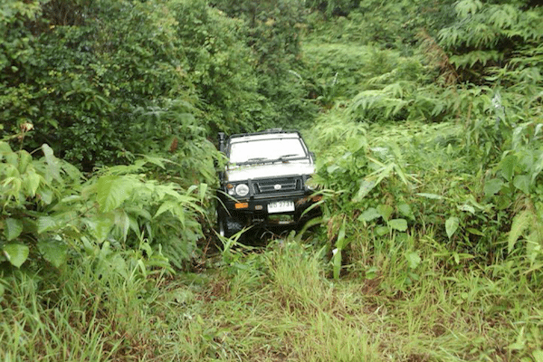 טיול ג׳יפים בעלייה