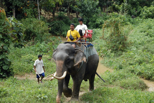 טיול לקאו לק פילים