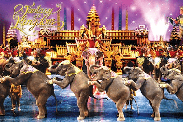 מופע פנטזי פילים