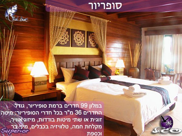 מלונות בפוקט – בל אייר ריזורט – חדר סופריור