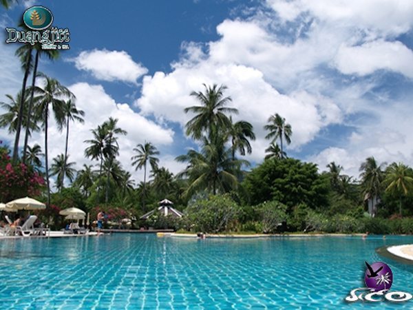 מלונות בפוקט – דואנגז’יט ריזורט – הבריכה