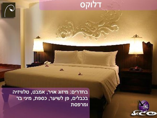 מלונות בפוקט – פטונג פרגון – חדר דלוקס
