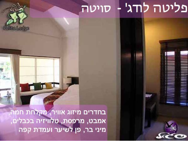 מלונות בקופנגן – פליטה סויטה