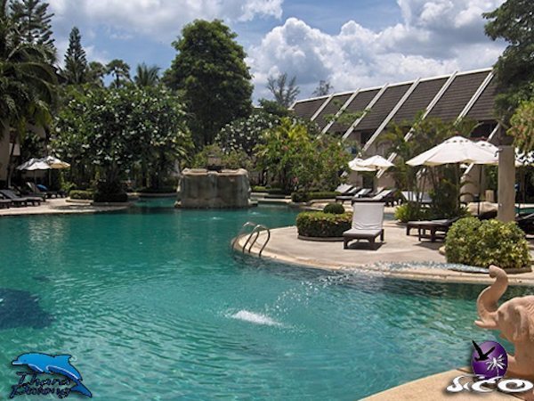 פוקט – טארה פטונג – בריכת המלון נוספת