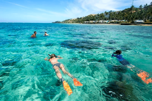צלילה בסימיליאן  שנירקול