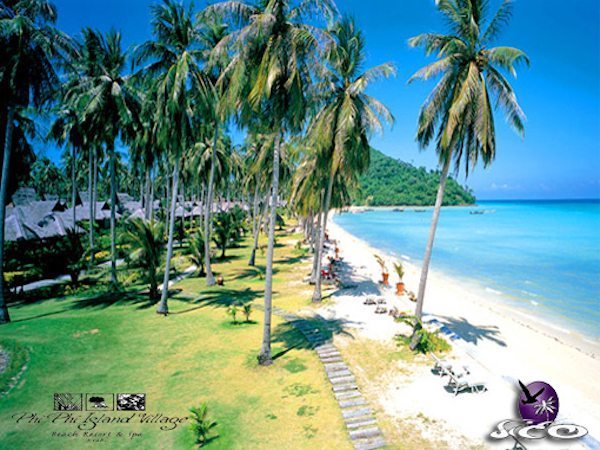 קופיפי – פיפי איילנד ויליג’ ביץ’ – החוף