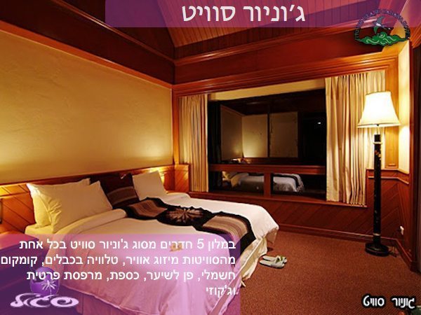 קופיפי – פיפי איילנד קבאנה -ג׳וניור סוויט