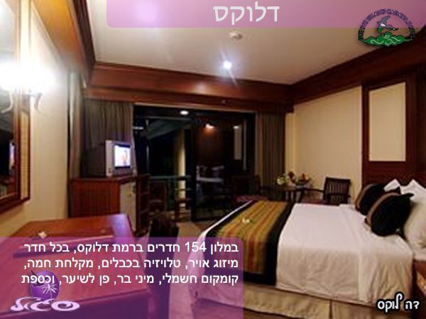 קופיפי – פיפי איילנד קבאנה -דלוקס