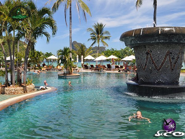 קופיפי – פיפי איילנד קבאנה -הבריכה והעציץ