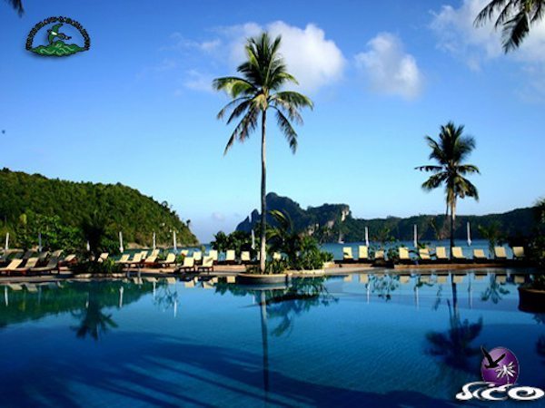 קופיפי – פיפי איילנד קבאנה -הבריכה