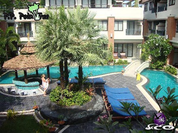 קופיפי – פיפי פאלם טרי – הבריכה והחדרים