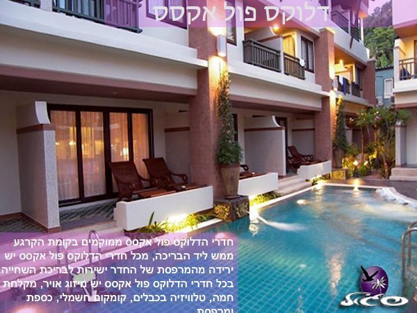 קופיפי – פיפי פאלם טרי – חדר דלוקס פול אקסס