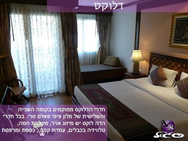 קופיפי – פיפי פאלם טרי – חדר דלוקס