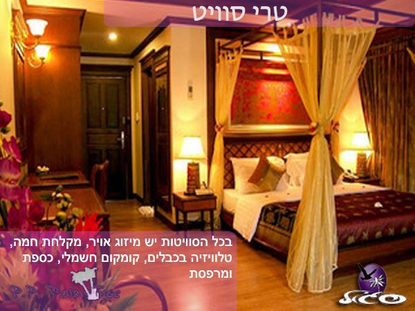 קופיפי – פיפי פאלם טרי – חדר טרי סוויט