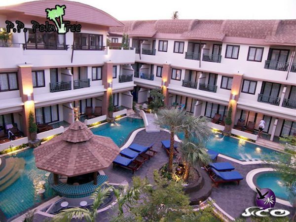קופיפי – פיפי פאלם טרי – חדרי המלון והבריכה