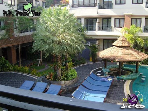 קופיפי – פיפי פאלם טרי – קומה 2 חדרים