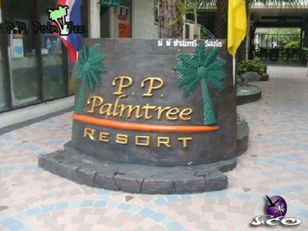 קופיפי – פיפי פאלם טרי – שלט הכניסה