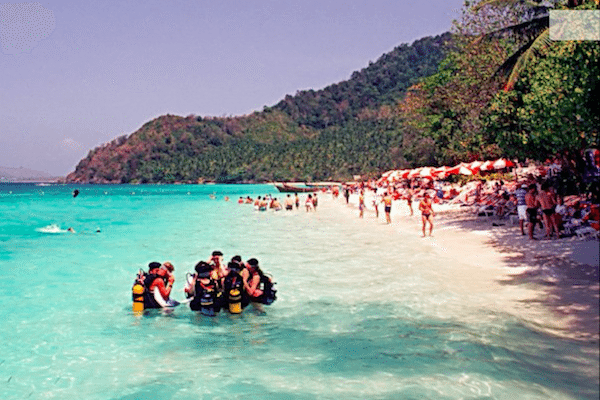 קרול איילנד צלילה