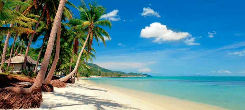 תמונת נוף חוף ים עם עצי קוקוס בתאילנד